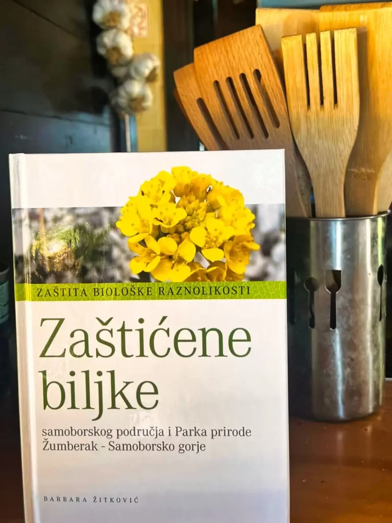 Produženi vikend na Budinjaku (Žumberak) - Velika Gospa 2023