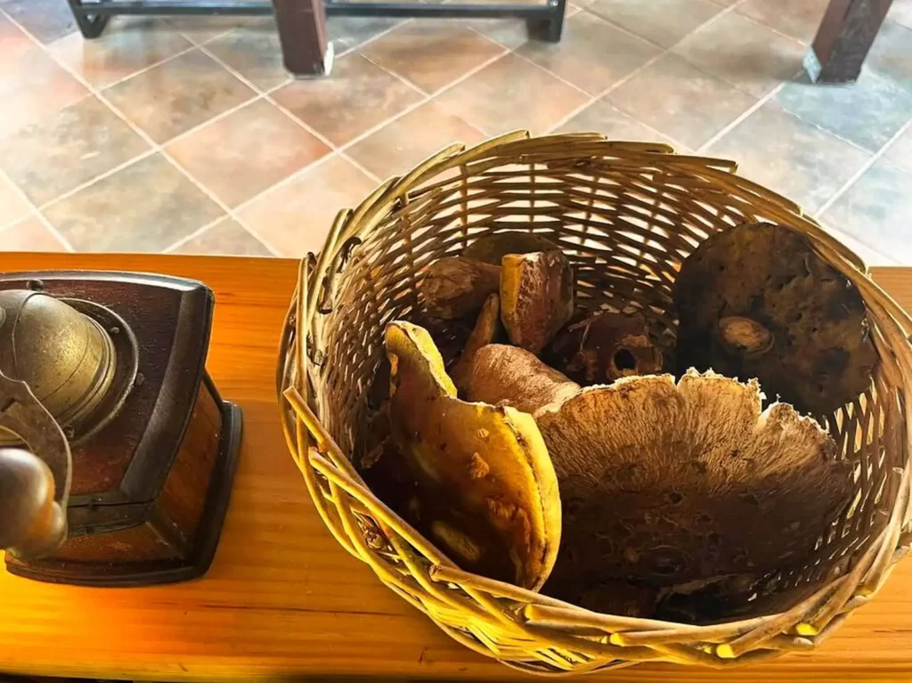 Produženi vikend na Budinjaku (Žumberak) - Velika Gospa 2023