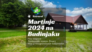 Martinje 2024 na Budinjaku