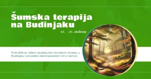 Šumska terapija na Budinjaku