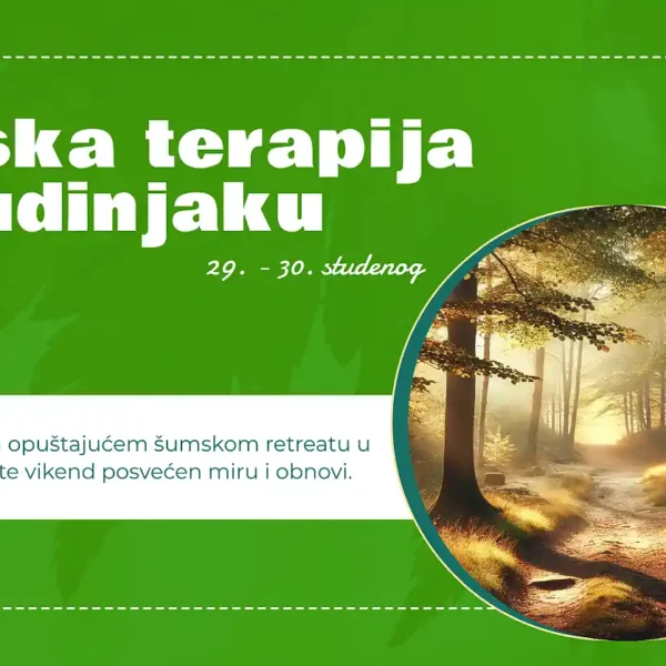 Šumska terapija na Budinjaku