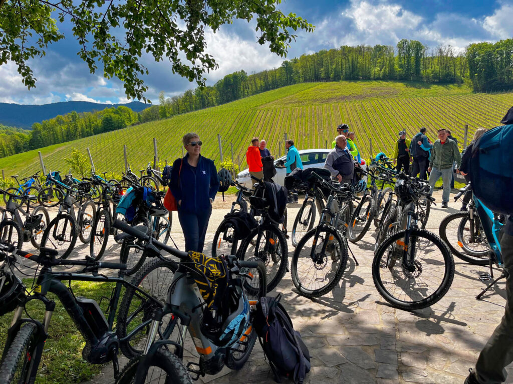 Vinska tura: Pedaliraj i degustiraj