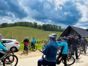 Vinska tura: Pedaliraj i degustiraj