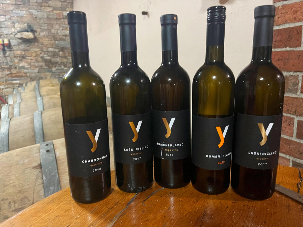 Vinska tura: Pedaliraj i degustiraj